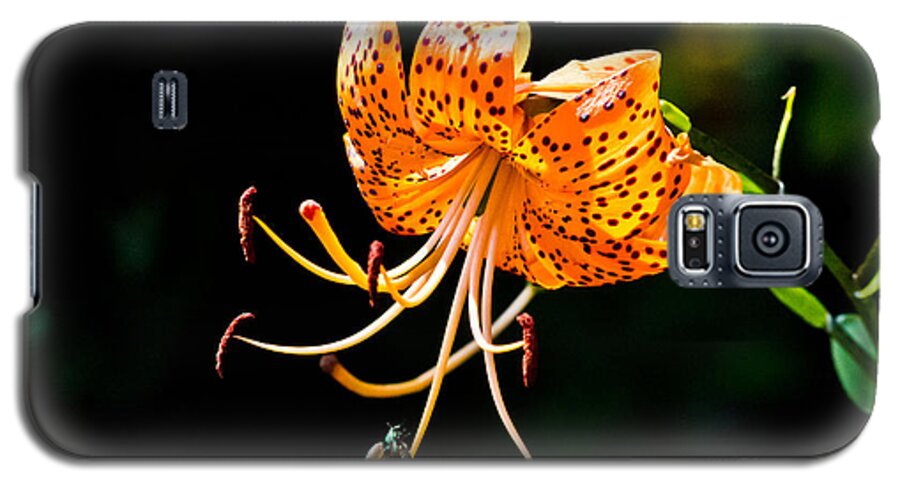 Nature Galaxy S5 Case featuring the photograph Orange Lily - Lilium kelleyanum by Ms Judi