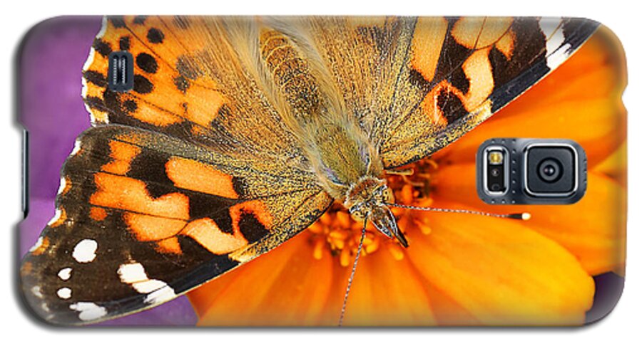 Butterfly Galaxy S5 Case featuring the photograph Orange on Purple by Jaki Miller