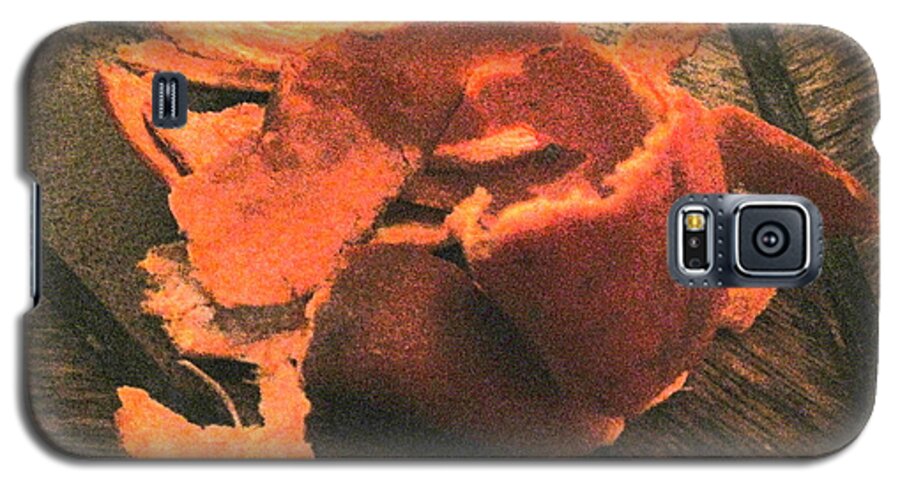 Orange Galaxy S5 Case featuring the photograph Orange Peel 2 by Jessica Levant