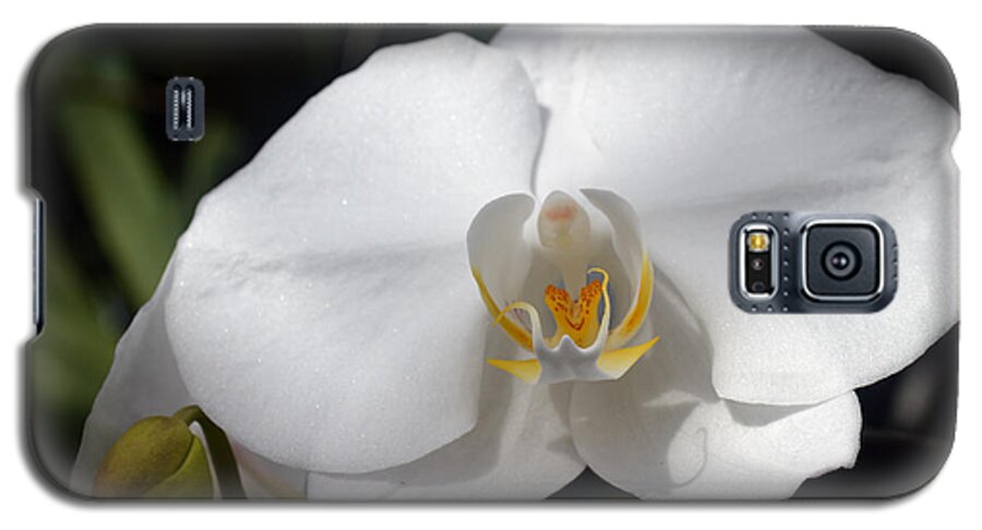 Plants Galaxy S5 Case featuring the photograph Orchid 1 by Lena Wilhite