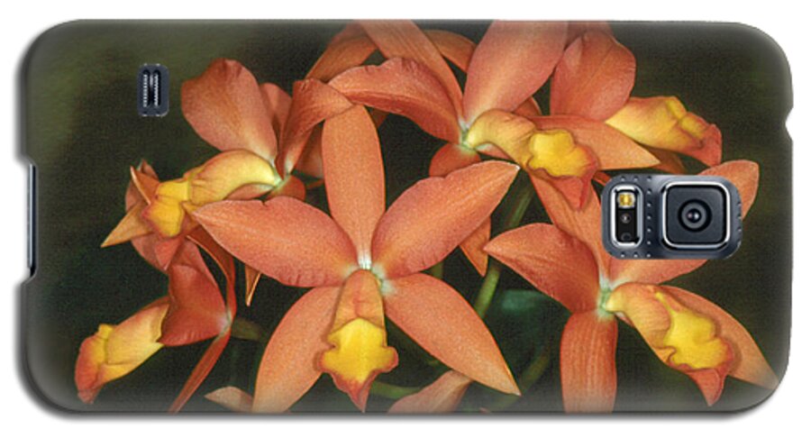 Flower Galaxy S5 Case featuring the photograph Orchid 3 by Andy Shomock