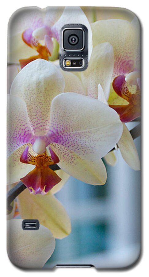 Orchids Galaxy S5 Case featuring the photograph Orchids in the Morning Light by Debbie Karnes