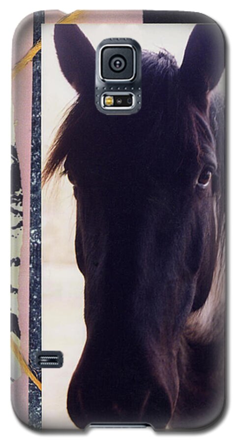 Horse Galaxy S5 Case featuring the photograph Oreo by Mary Ann Leitch