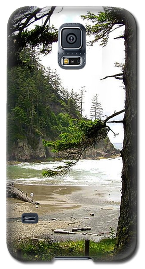 Old Growth Galaxy S5 Case featuring the photograph Oswald West 2 by Laureen Murtha Menzl