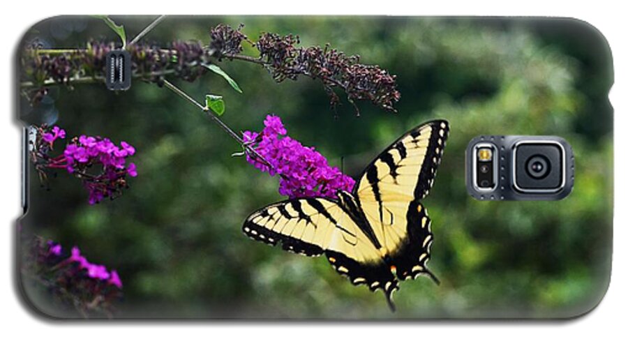 Butterfly Galaxy S5 Case featuring the photograph Out Of Bounds by Judy Wolinsky