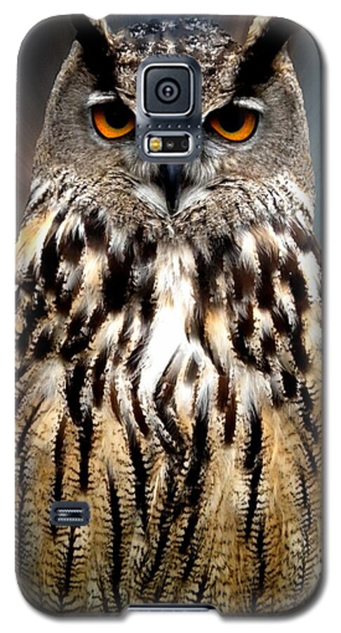 Colette Galaxy S5 Case featuring the photograph Owl Living in the Spanish Mountains by Colette V Hera Guggenheim