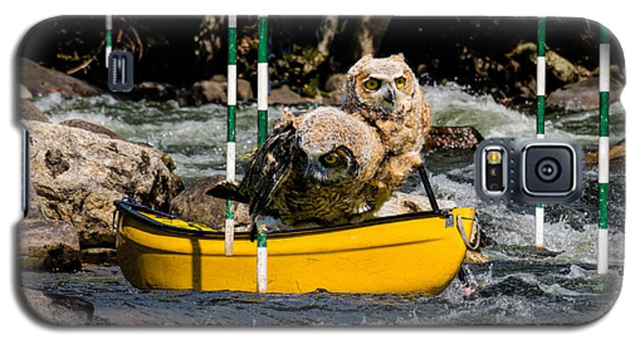 Outdoor Galaxy S5 Case featuring the photograph Owlets In A Canoe by Les Palenik