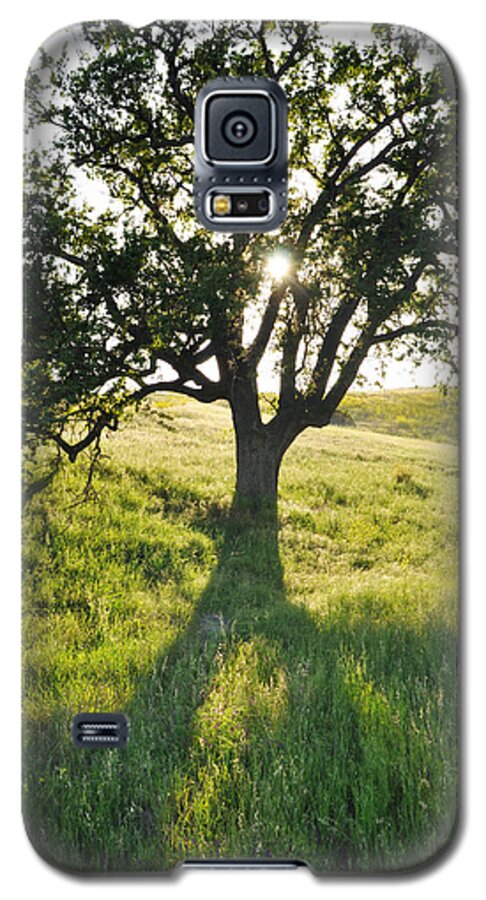 Pacific Coast Oak Galaxy S5 Case featuring the photograph Pacific Coast Oak Malibu Creek by Kyle Hanson