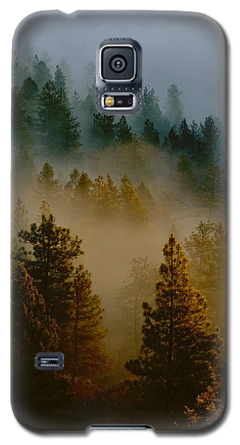 Morning Galaxy S5 Case featuring the photograph Pacific Northwest Morning Mist by Ben Upham III