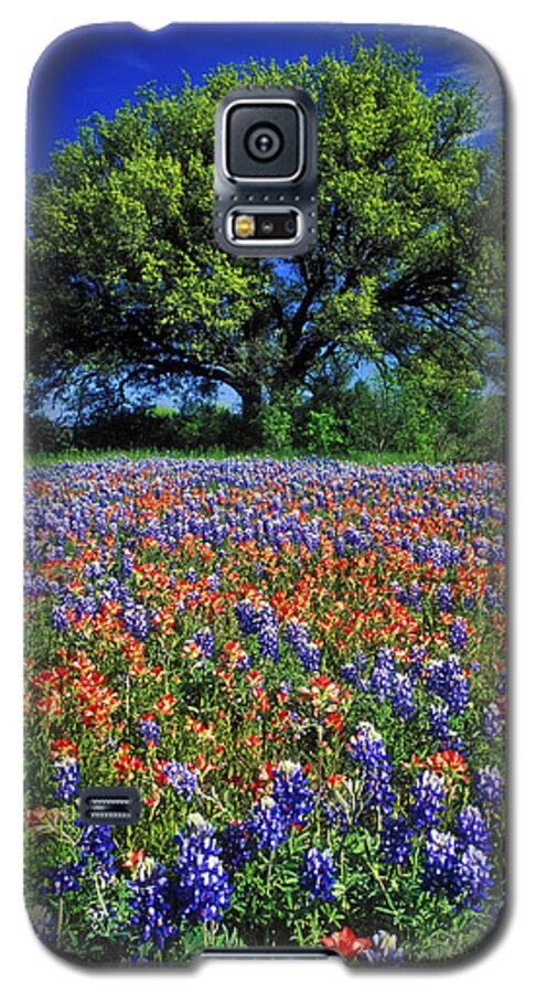 Texas Galaxy S5 Case featuring the photograph Paintbrush and Bluebonnets - FS000057 by Daniel Dempster
