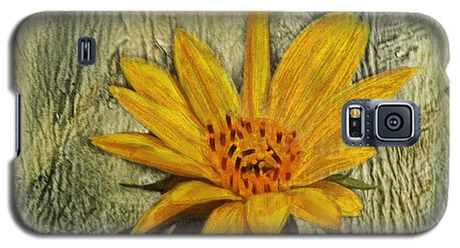 Sunflower Galaxy S5 Case featuring the photograph Painterly Sunflower by Sandi OReilly