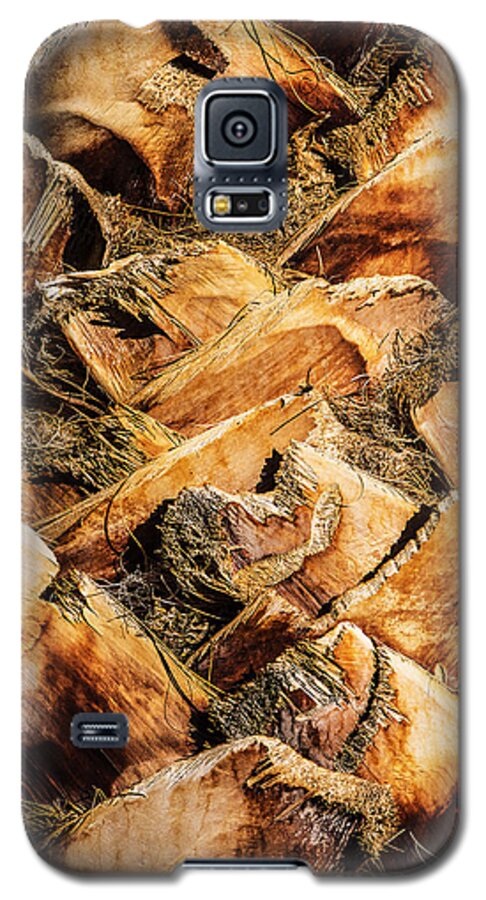 Palm Tree Galaxy S5 Case featuring the photograph Palm Bark by Onyonet Photo studios
