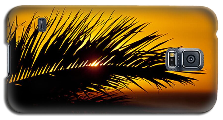 Sunset Galaxy S5 Case featuring the photograph Palm Leaf In Sunset by Yngve Alexandersson