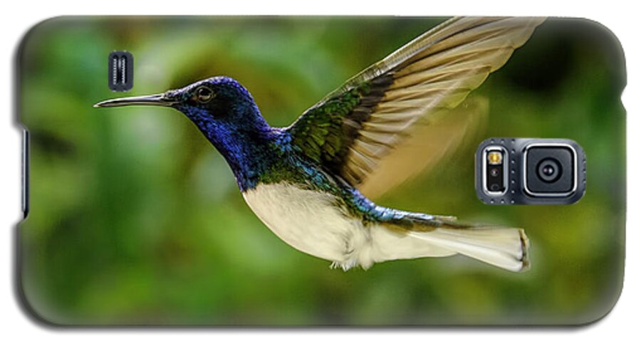 Hummingbird Galaxy S5 Case featuring the photograph Panama Hummingbird by Rob Tullis