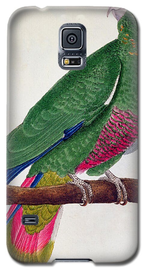 Bird Galaxy S5 Case featuring the painting Parrot by Francois Nicolas Martinet