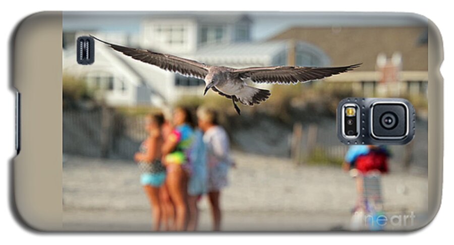 Seagulls Galaxy S5 Case featuring the photograph Look Out Below by Geoff Crego