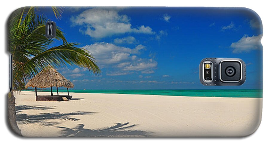 Beach Galaxy S5 Case featuring the photograph Passion Island by Randy Rogers