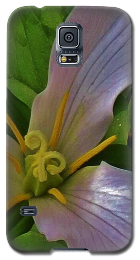 Flower Galaxy S5 Case featuring the photograph Pastel Trillium by Charles Lucas