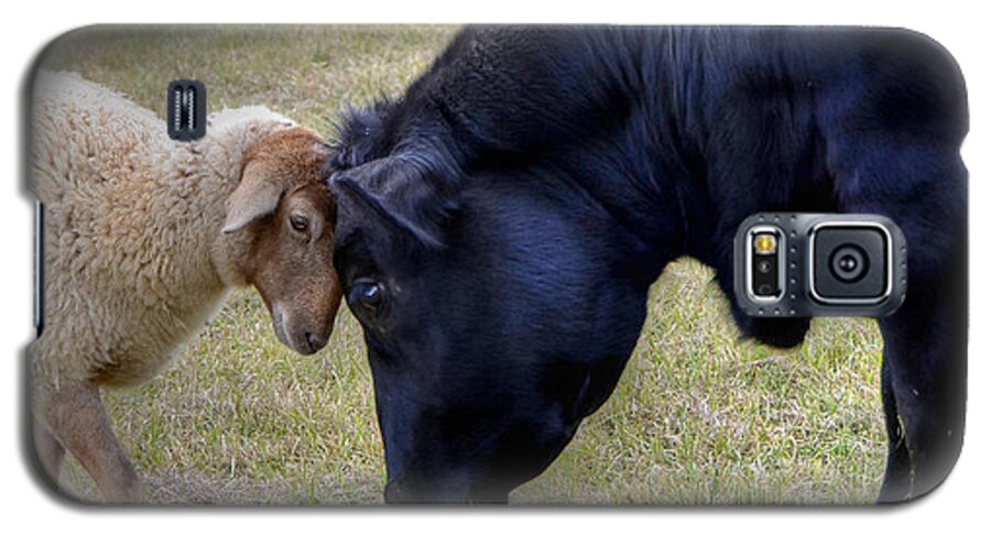Sheep Galaxy S5 Case featuring the photograph Pasture Pals by Charlotte Schafer