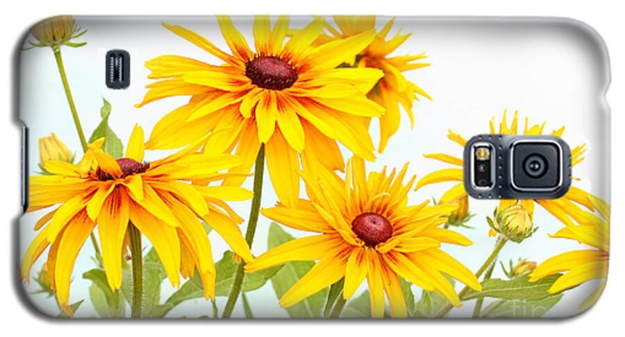 Flower Galaxy S5 Case featuring the photograph Patch of Black-eyed Susan by Steve Augustin