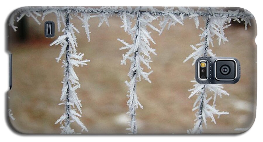 Dakota Galaxy S5 Case featuring the photograph Patterned Frost by Greni Graph