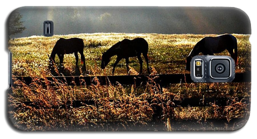 Horse Galaxy S5 Case featuring the photograph Peaceful pasture by Carlee Ojeda