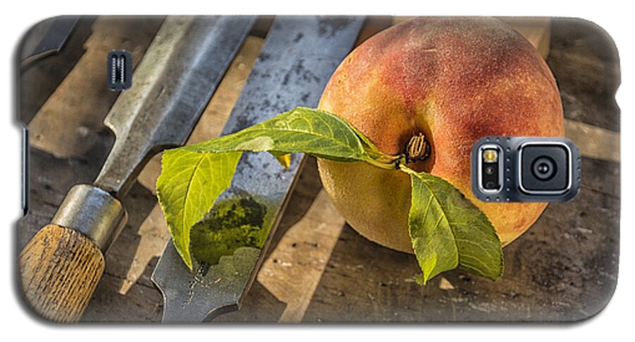 Luscious Galaxy S5 Case featuring the photograph Peach on a Workbench by Terry Rowe