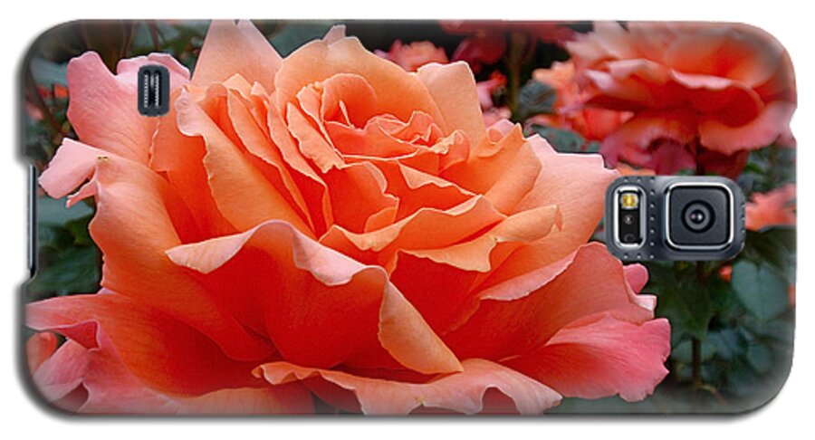Roses Galaxy S5 Case featuring the photograph Peach Roses by Rona Black