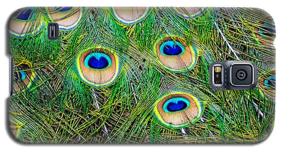 Peacock Galaxy S5 Case featuring the photograph Peacock Feathers by Jim DeLillo