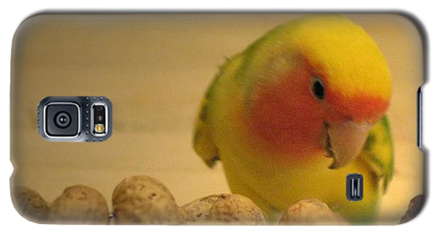 Lovebird Galaxy S5 Case featuring the photograph Peanut by Andrea Lazar