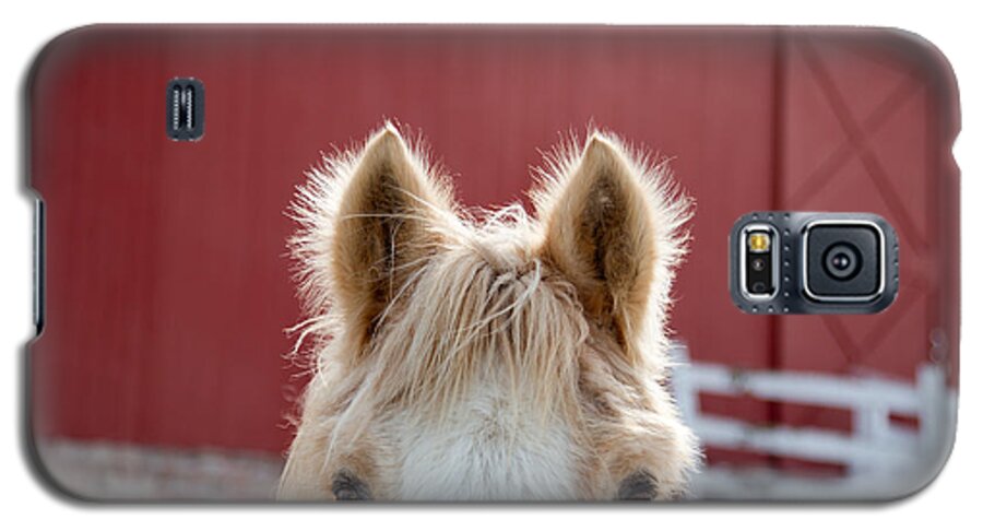 Horse Ears Galaxy S5 Case featuring the photograph Peek A Boo by Courtney Webster