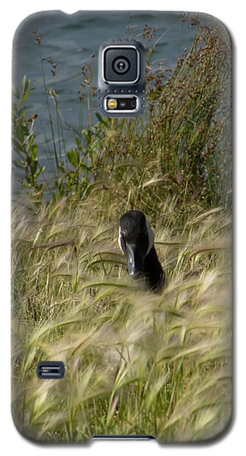 Nature Galaxy S5 Case featuring the photograph Peek-a-Boo by Rhonda McDougall