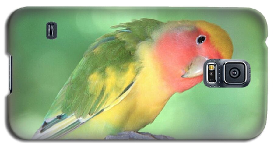 Lovebird Galaxy S5 Case featuring the photograph Peeking Peach Face Lovebird by Andrea Lazar