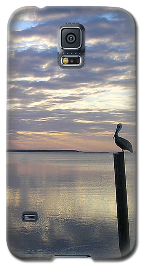 Brown Galaxy S5 Case featuring the photograph Pelican at Sunset by Adam Johnson