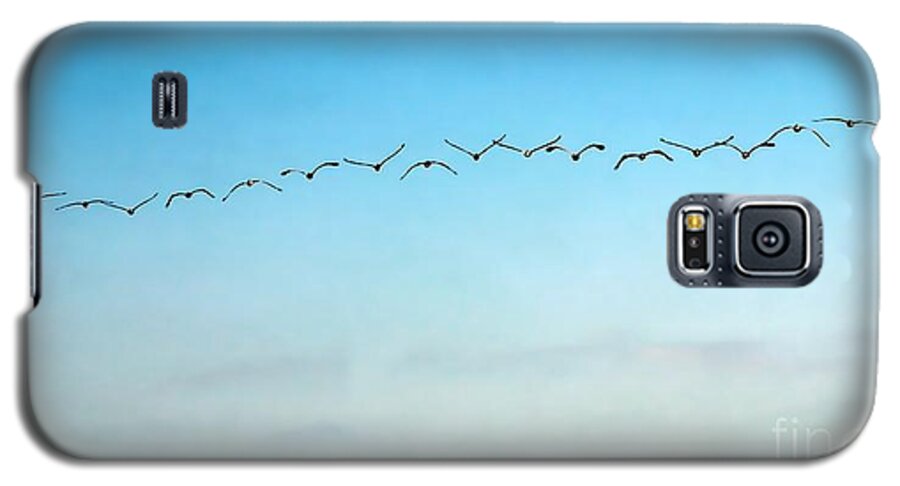 Pelican Galaxy S5 Case featuring the photograph Pelican Flight Line by Peggy Hughes