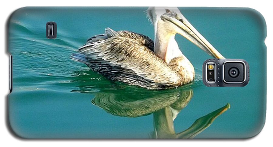 Pelican Galaxy S5 Case featuring the photograph Pelican in San Francisco Bay by Clare Bevan
