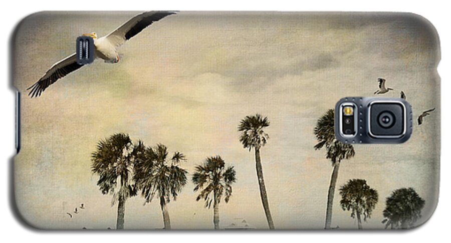 Clearwater Galaxy S5 Case featuring the photograph Pelicans in Flight by Sandra Selle Rodriguez