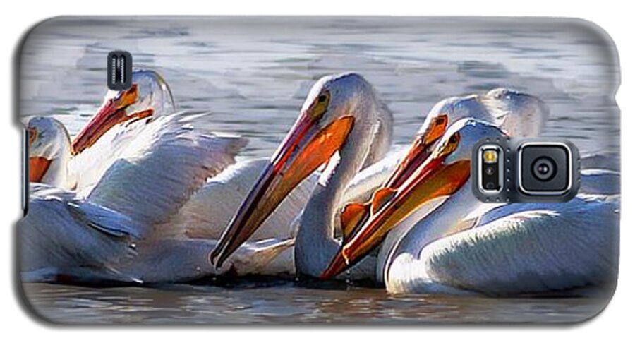 John+kolenberg Galaxy S5 Case featuring the photograph Pelicans by John Kolenberg