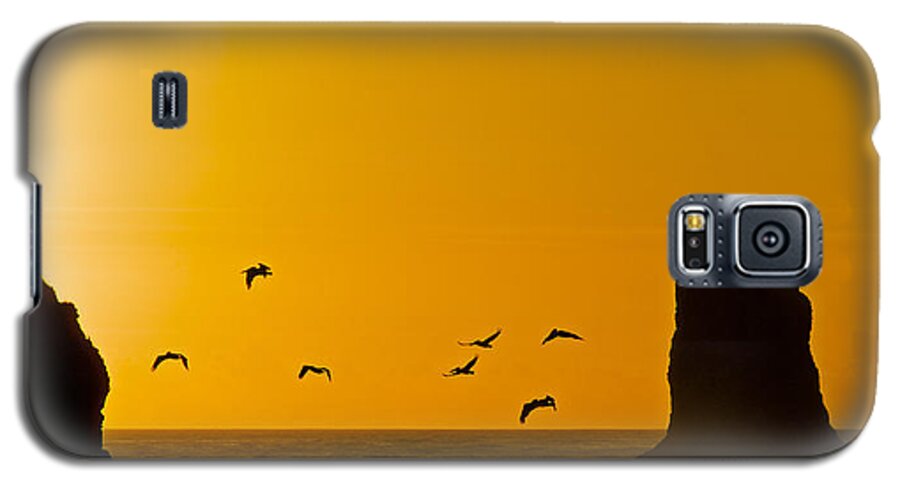 La Push Galaxy S5 Case featuring the photograph Pelicans on the Wing II by Greg Reed