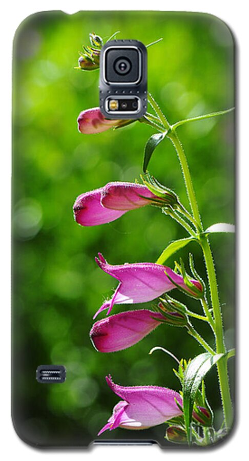 Penstemon Galaxy S5 Case featuring the photograph Penstemon by Karen Slagle