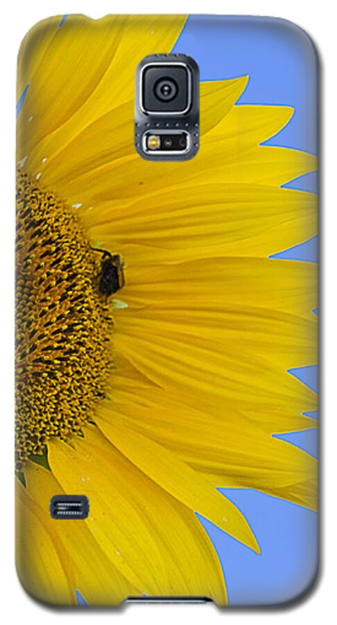 Sunflower Galaxy S5 Case featuring the photograph Perfect Half with Blue Sky by Jatin Thakkar