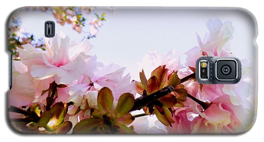 Pink Galaxy S5 Case featuring the photograph Petals in the Wind by Robyn King