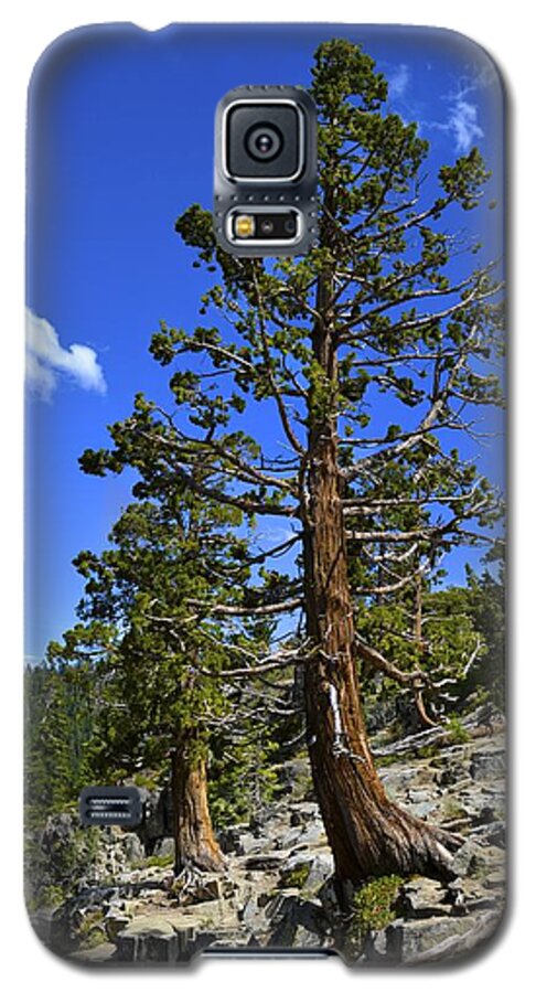  Emerald Bay Galaxy S5 Case featuring the photograph Trees Near Emerald Bay Lake Tahoe by Alex King
