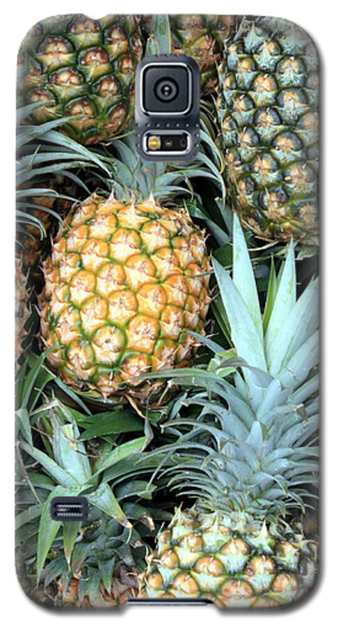 Pineapples Galaxy S5 Case featuring the photograph Pineapple Paradise by Karen Nicholson