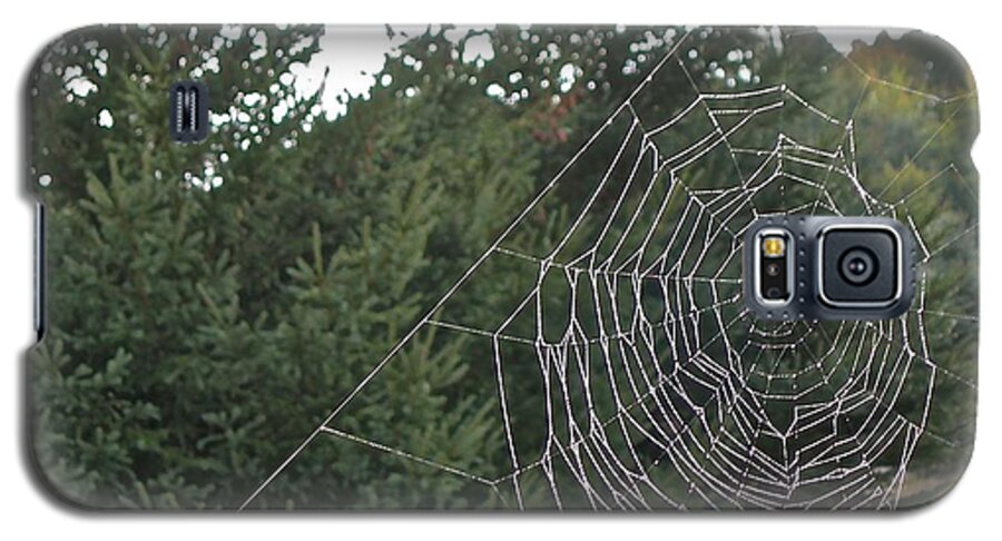 Spiders Galaxy S5 Case featuring the photograph Pining for the Web by Randy Rosenberger