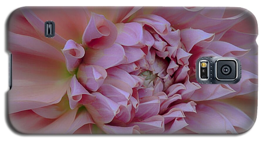 British Columbia Galaxy S5 Case featuring the photograph Pink Dahlia by Jacqui Boonstra