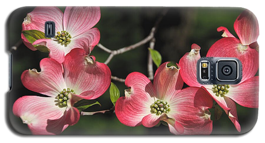 Pink Galaxy S5 Case featuring the photograph Pink Dogwood by William Norton