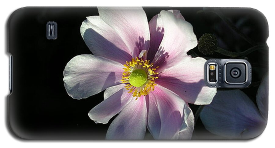 Pink Galaxy S5 Case featuring the photograph Pink Flower by Bev Conover