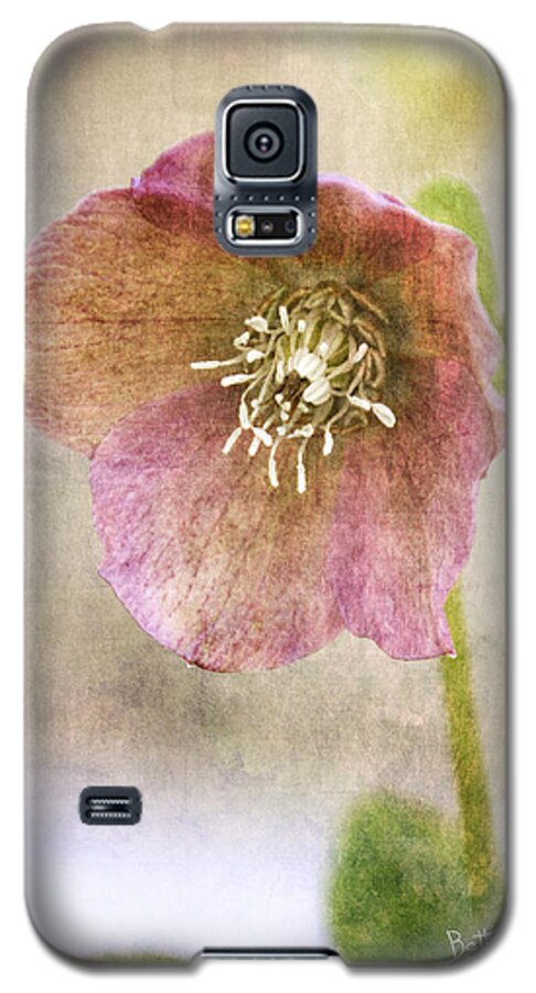 Hellebore Galaxy S5 Case featuring the photograph Pink Hellebore by Betty Denise