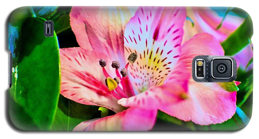 Pink Galaxy S5 Case featuring the photograph Pink by Jody Lane